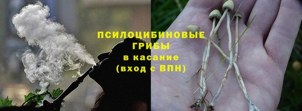 марки lsd Гусь-Хрустальный