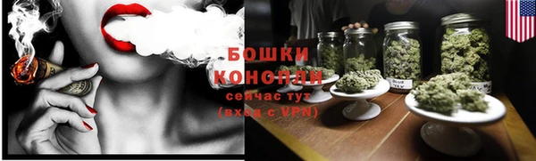 молекула духа Гусиноозёрск