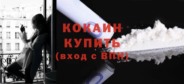 молекула духа Гусиноозёрск