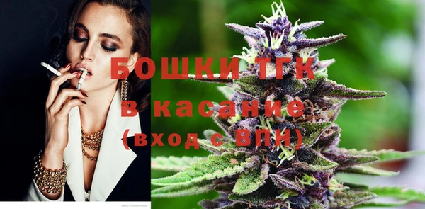 молекула духа Гусиноозёрск