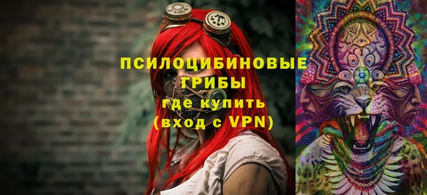 марки nbome Гусев