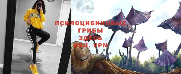 марки nbome Гусев