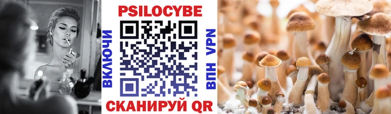 Псилоцибиновые грибы мухоморы  магазин продажи   Ефремов 