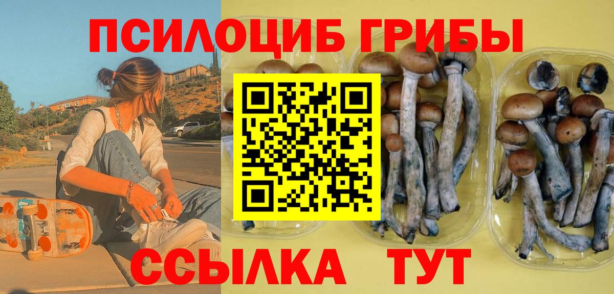 Ефремов  Псилоцибиновые грибы ЛСД  Вход с VPN 