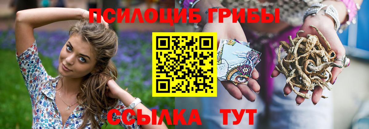 Псилоцибиновые грибы мицелий Ефремов