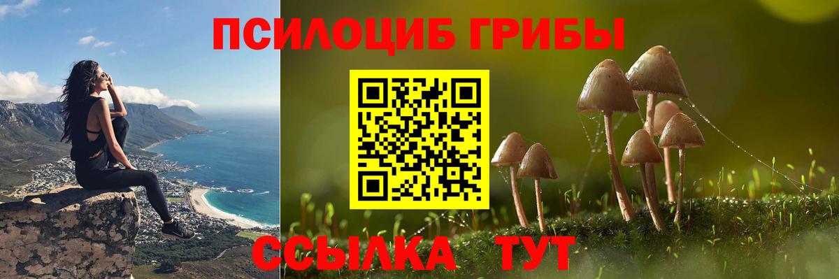 Галлюциногенные грибы Cubensis Ефремов